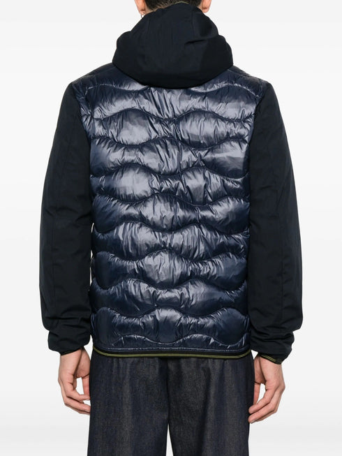 BLAUER ALBERT